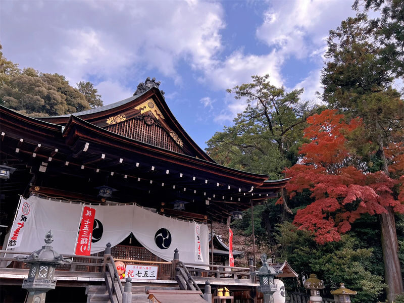 Lake Biwa Secret Scenery Pilgrimage Day Trip | Shirazu Shrine, Observation Deck/Sanzen-in Temple, Floating Temple, La Collina - What the price includes, and what it does not