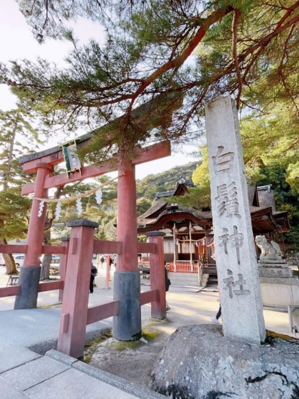 Lake Biwa Secret Scenery Pilgrimage Day Trip | Shirazu Shrine, Observation Deck/Sanzen-in Temple, Floating Temple, La Collina - Who will get the most from this Lake Biwa day trip