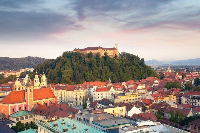 Lake Bled and Ljubljana Private Shore Excursion from Koper - Who Will Love This Experience?
