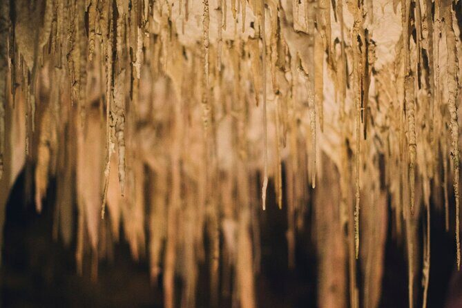 Lake Cave Fully Guided Tour - Final Thoughts: Who Should Do This Tour?