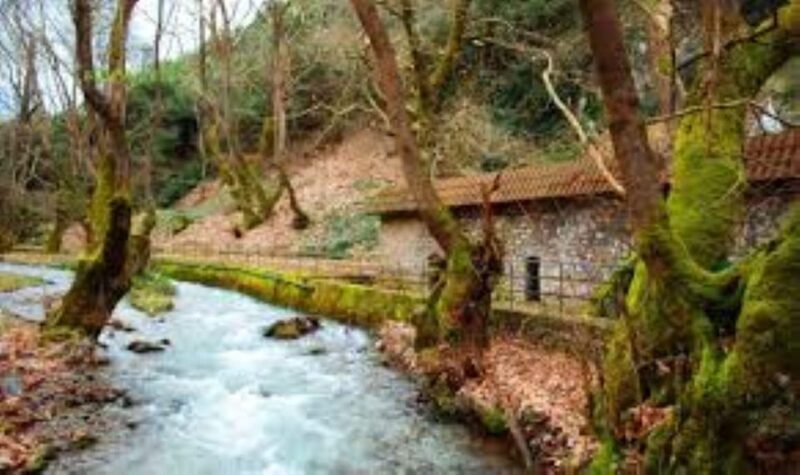 Lake caves and rack railway in Kalavryta - Who Will Love This Tour?