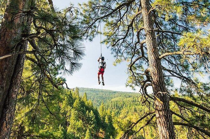 Lake Coeur d'Alene Zipline Tour - FAQs About the Lake Coeur dAlene Zipline Tour