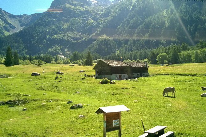 Lake Como, Swiss Alps and Bernina train. From Milan - Transportation and Comfort
