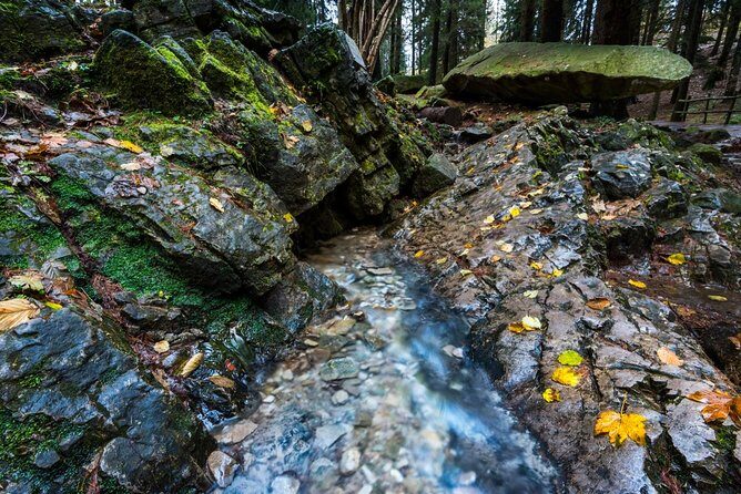 Lake Como trekking private guided tour, from Milan or Como - Why Choose This Tour?
