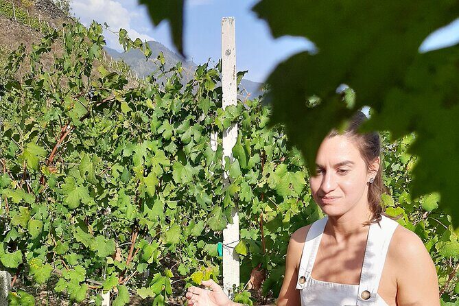 Lake Como & UNESCO Dry-stone Walls Vineyards - Frequently Asked Questions