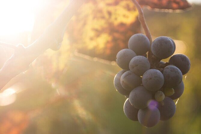 Lake Country Casual Experience - Key Points