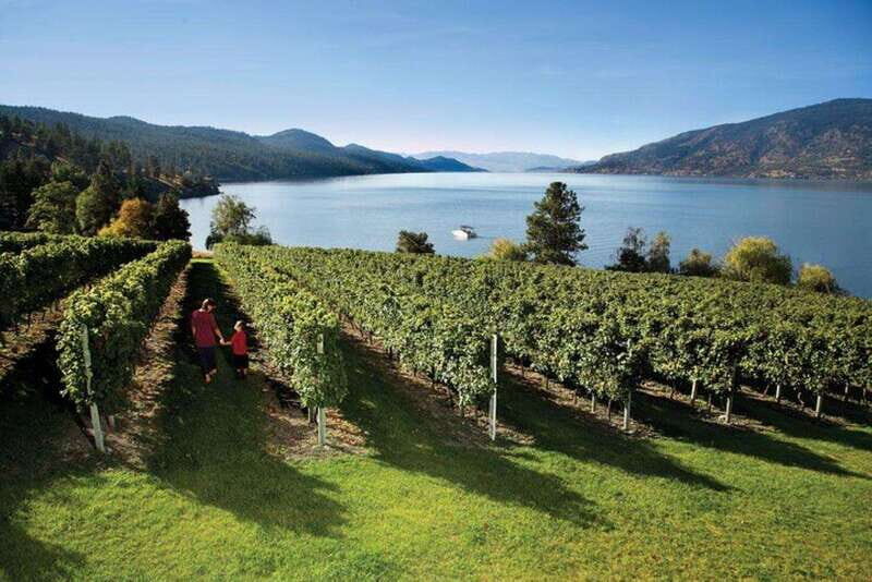 Lake Country: Full-Day Wine Tour with Tastings - Final Thoughts