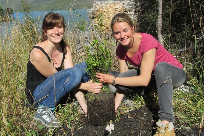Lake Cruise & Mou Waho Island Nature Walk - An In-Depth Look at the Lake Cruise & Mou Waho Island Experience