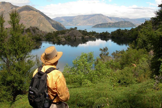 Lake Cruise & Mou Waho Island Nature Walk - What to Expect and How to Prepare