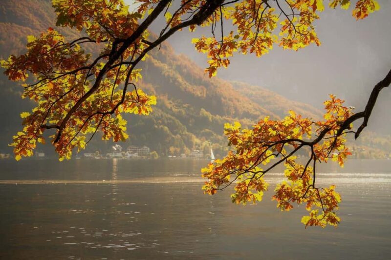 Lake District Tour and Windermere Cruise from Manchester - Key Points