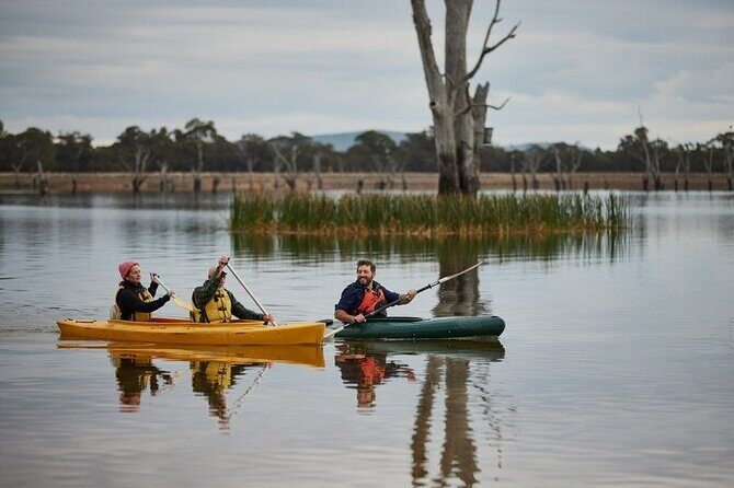 Lake Fyans Canoeing Activity - Practical Details and Tips for Your Canoeing Day