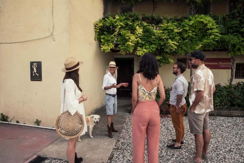 Lake Garda: Corvina Wine Tasting with Vineyard Walk - FAQ