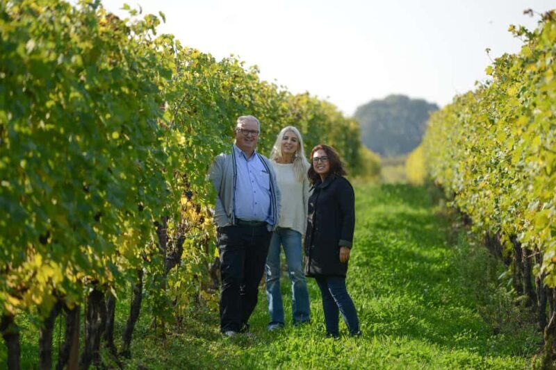 Lake Garda: Corvina Wine Tasting with Vineyard Walk - Final Thoughts