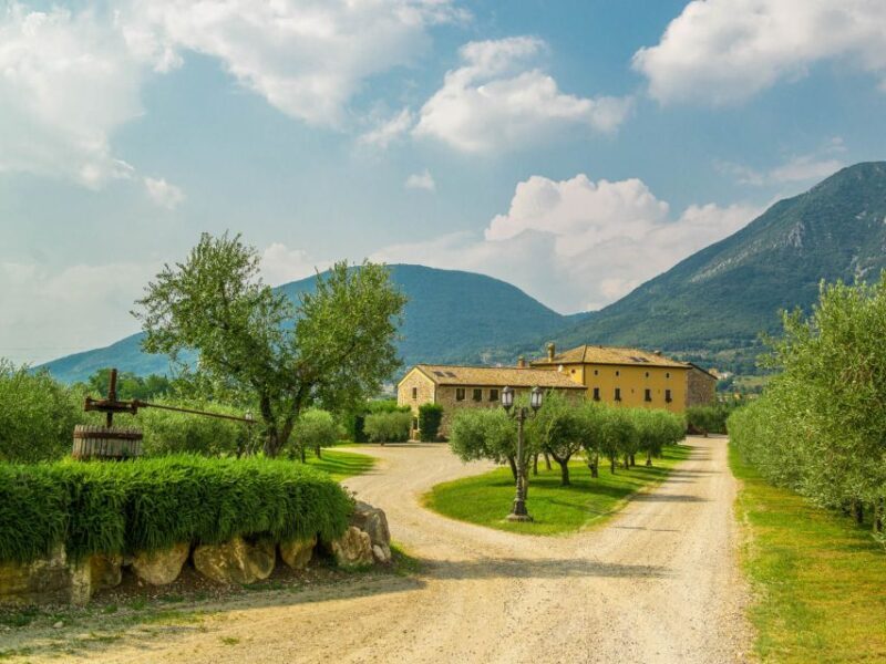 Lake Garda: Garda Hills Wine Tour and Tasting - FAQs