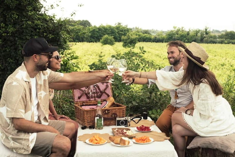 Lake Garda: Pic Nic in the vineyard with wine tasting - Lake Garda: Pic Nic in the Vineyard with Wine Tasting — A Complete Review