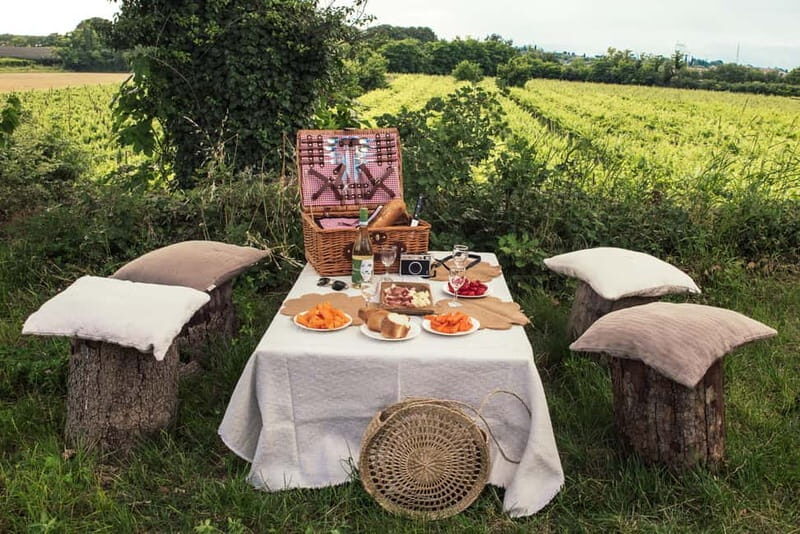 Lake Garda: Pic Nic in the vineyard with wine tasting - What Sets This Tour Apart