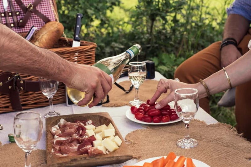 Lake Garda: Pic Nic in the vineyard with wine tasting - Who Should Consider This Experience?