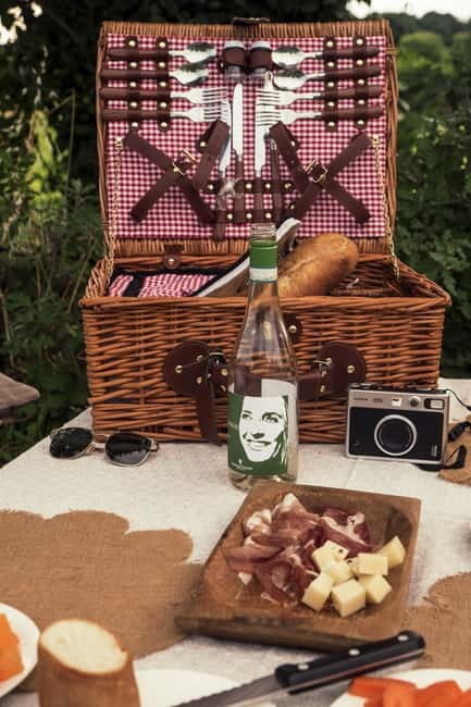 Lake Garda: Pic Nic in the vineyard with wine tasting - The Sum Up