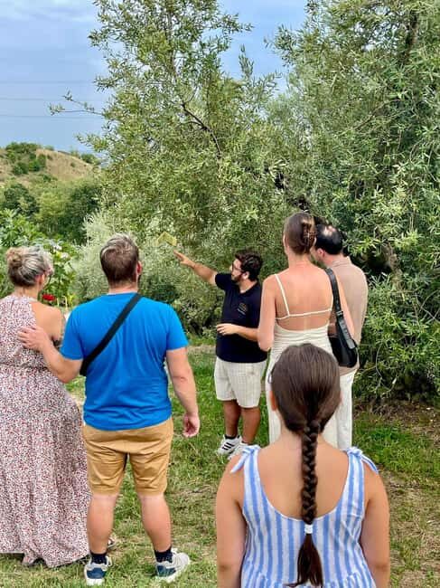 Lake Garda: Tour with 4 Olive Oil Tasting & Local Food - An In-Depth Look at the Olive Oil Tour on Lake Garda