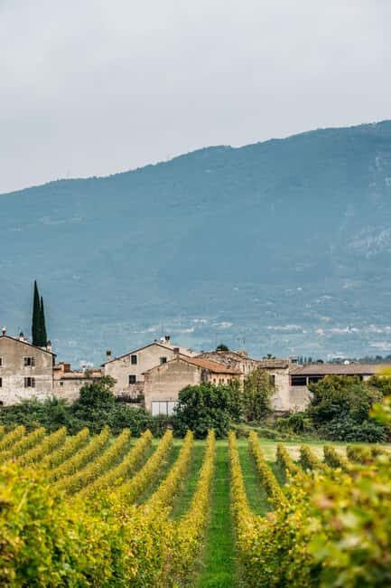 LAKE GARDA: VINEYARD AND WINERY TOUR - Frequently Asked Questions