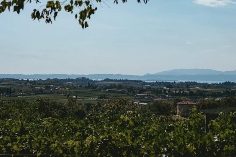 Lake Garda: Vineyard Tour and Tasting on the Hills - Who Will Love This Tour?