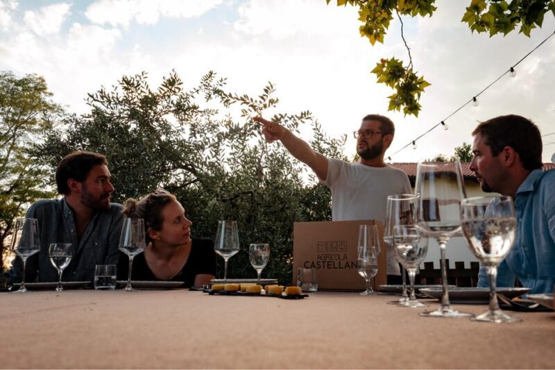 Lake Garda: Vineyard Tour and Tasting on the Hills - Final Thoughts: Is It Worth It?
