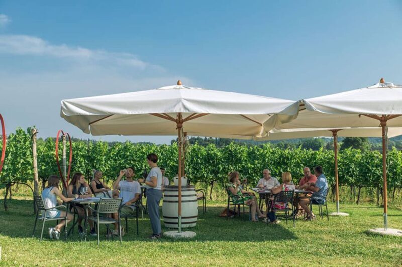 Lake Garda: Wine and Food Tastings in the Vineyards - Lake Garda: Wine and Food Tastings in the Vineyards — A Practical & Authentic Experience