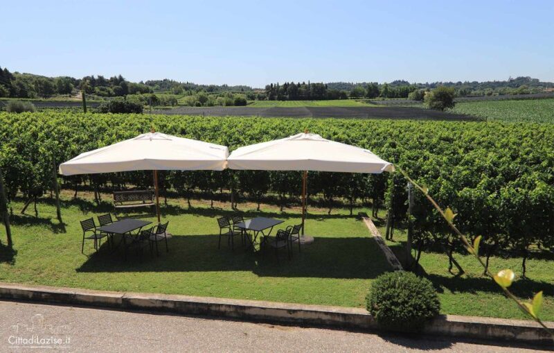 Lake Garda: Wine and Food Tastings in the Vineyards - FAQs