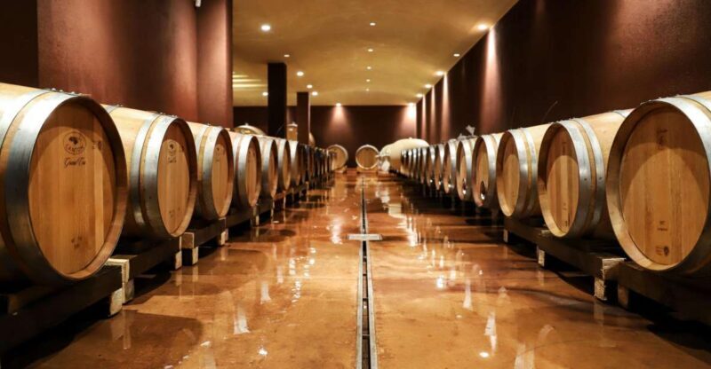 Lake Garda: Wine Tour and Tasting Experience in Bardolino - A More Detailed Look at the Experience