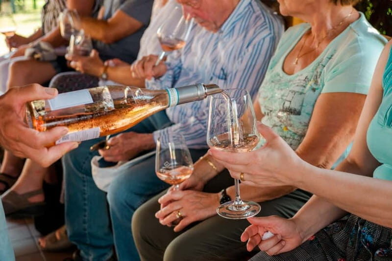 Lake Garda: Winery Tour & Wine Tasting with Local Delicacies - Key Points