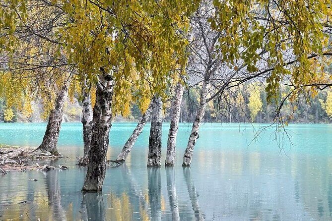Lake Issyk with Turgen (Bear) Waterfall tour - A Deep Dive into the Lake Issyk with Turgen Waterfall Tour