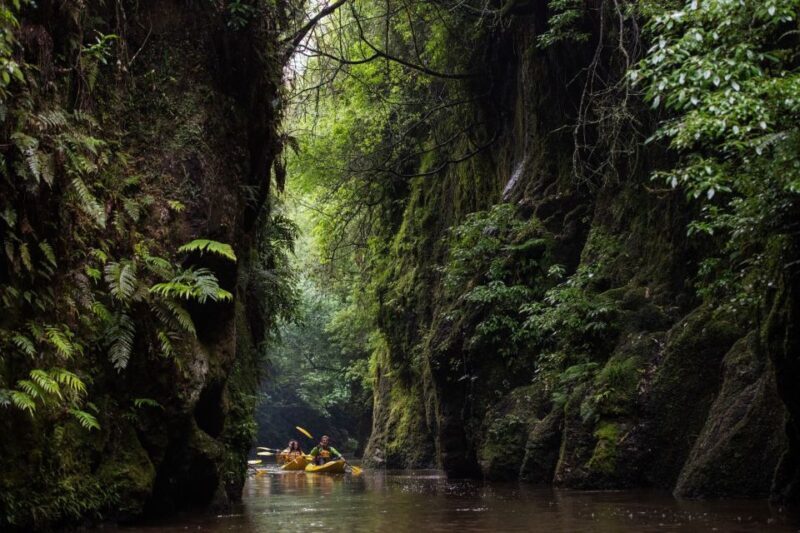 Lake Karapiro: Evening Kayak Glowworm Tour - An Honest Look at the Lake Karapiro Glowworm Kayak Tour