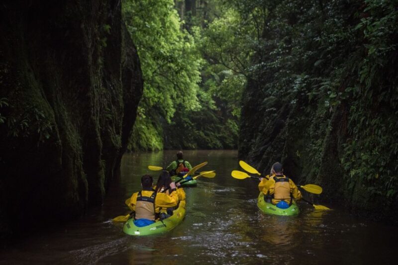 Lake Karapiro: Evening Kayak Glowworm Tour - FAQs