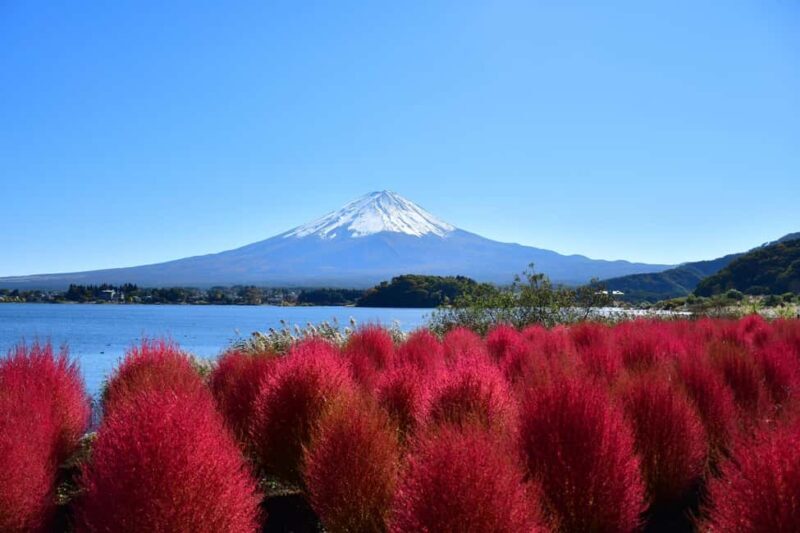 Lake Kawaguchi: 1-Day Bicycle Rental - The Practicalities: What to Expect