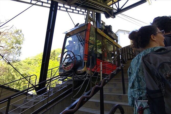 Lake Kawaguchi, Fuji Oishi Hana Terrace Guided Tour - Key Points
