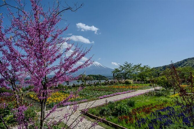 Lake Kawaguchi, Fuji Oishi Hana Terrace Guided Tour-Van - Frequently Asked Questions