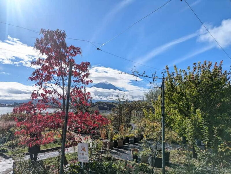 Lake Kawaguchi: Half day Private Tour with local guide - In-Depth Look at the Experience