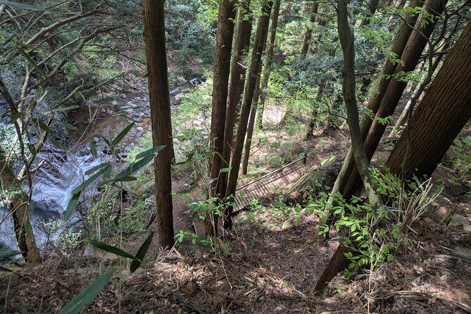 Lake Kawaguchi Private Hiking Tour with local guide - FAQs