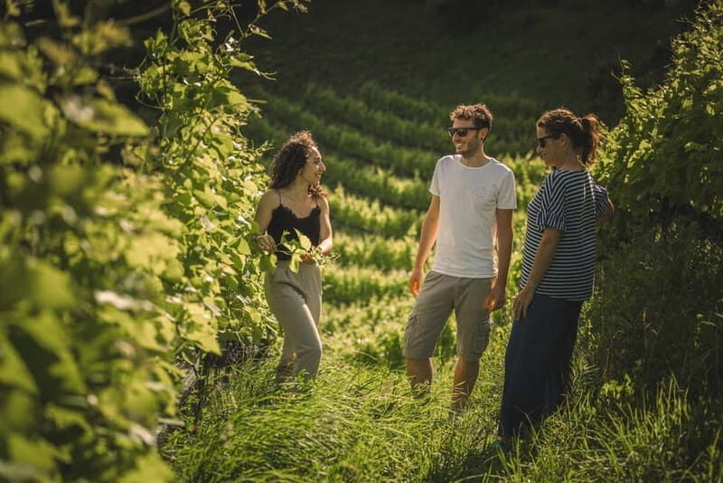 Lake Ledro: wine Pic Nic with stunning Lake View - Key Points
