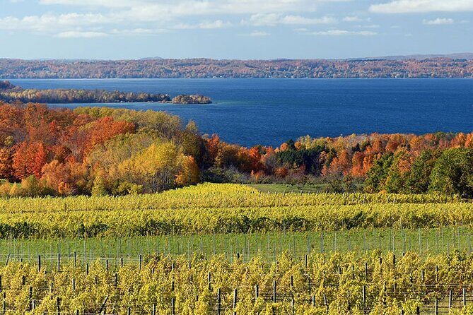 Lake Leelanau 4 Hour Tour - Exploring Lake Leelanau: An Authentic Northern Michigan Experience