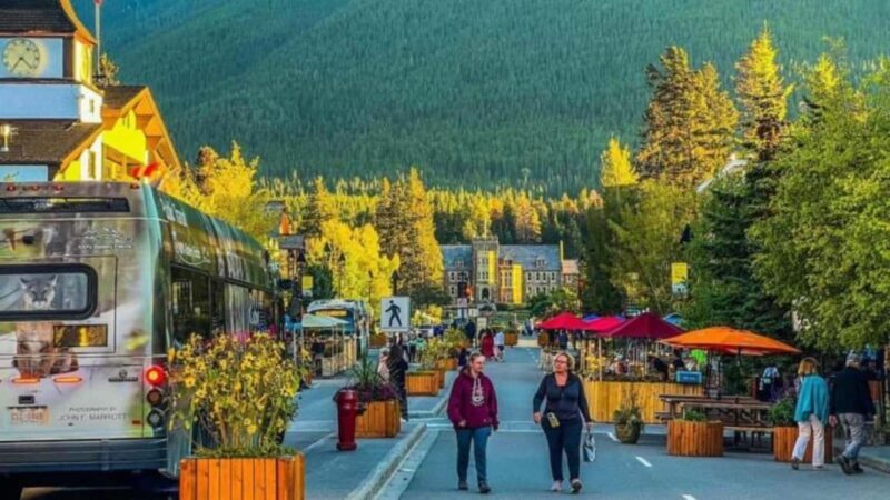 Lake Louise, Emerald Lake, Minnewanka Cruise & Banff Town - Who Will Love This Tour?