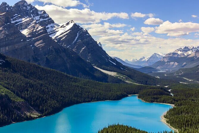Lake Louise Peyto Lake Bow Lake Crowfoot Glacier Half Day Tour - Who Should Consider This Tour?