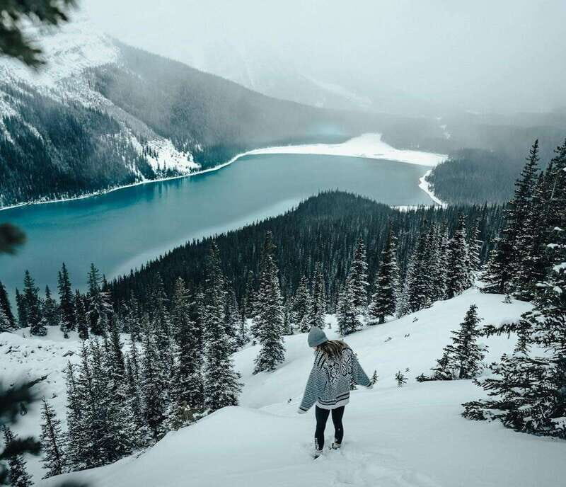 Lake Louise, Peyto Lake, Johnston Canyon & Icefields Parkway - Key Points
