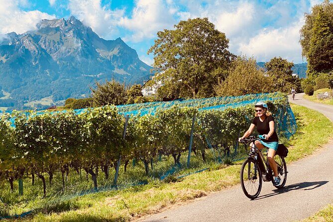 Lake Lucerne Peninsula e-Bike Tour - Why Do Travelers Love This Tour?