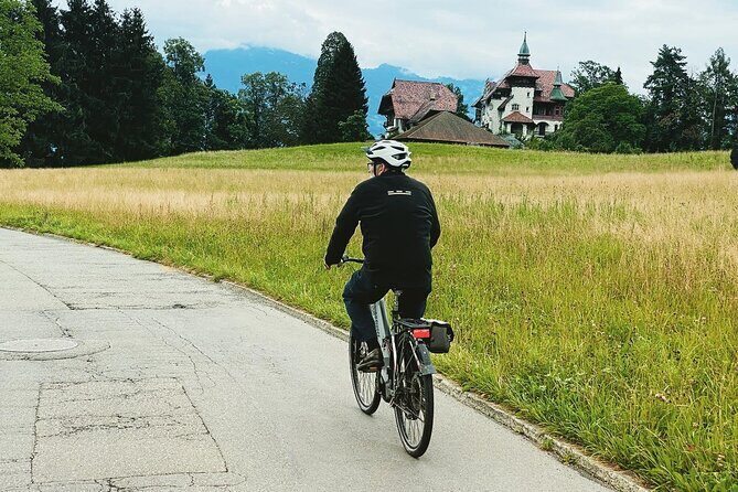 Lake Lucerne Peninsula e-Bike Tour - Who Should Consider This Tour?