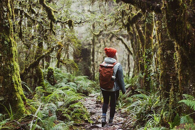 Lake Marian Guided Hike with Transfers, Lunch & Morning Tea - Exploring the Lake Marian Guided Hike: An Authentic Fiordland Experience