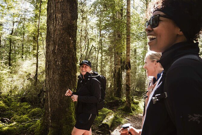 Lake Marian Guided Hike with Transfers, Lunch & Morning Tea - Key Points