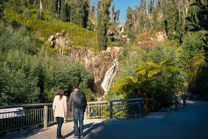 Lake Mountain Snow play and Steavenson Falls from Melburne - Final Thoughts: Is It Worth Your Time?