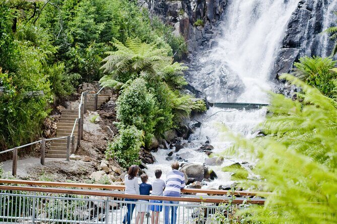 Lake Mountain Snow play and Steavenson Falls from Melburne - FAQs