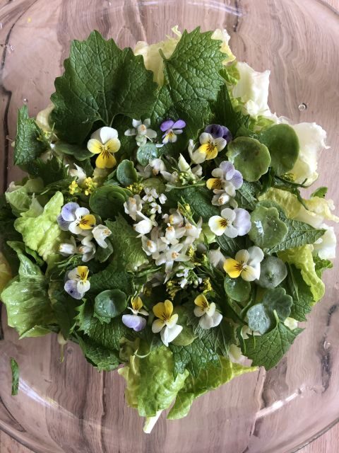 Lake Nemi: Herbs of the Moon Sensory Farm Visit - Exploring the Le Erbe della Luna Farm: A Sensory Journey